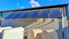 Au dessus de niches à veau, des panneaux solaires thermiques installés sur le bâtiment d'un élevage laitier