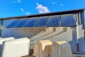 Au dessus de niches à veau, des panneaux solaires thermiques installés sur le bâtiment d'un élevage laitier