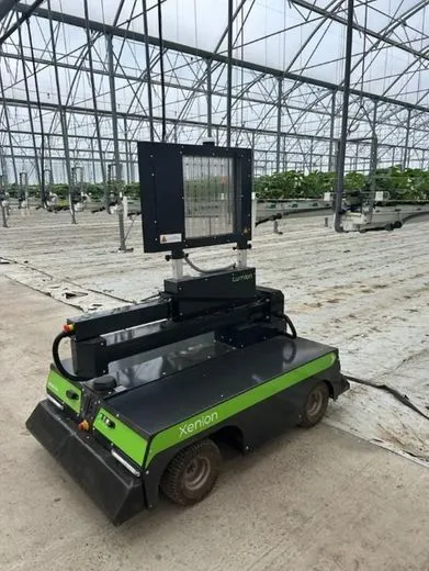Robot articulé traitant par UV les plants de fraise dans les serres - Illustration Des plants traités  par UV contre l&rsquo;oïdium