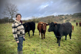 Amandine Gat devant ses vaches