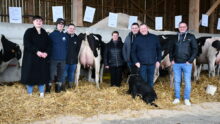 Les éleveurs devant des vaches en exposition sur la ferme