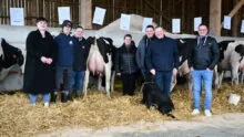 Les éleveurs devant des vaches en exposition sur la ferme