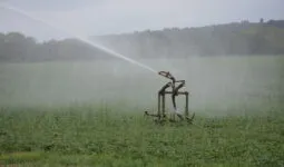 Irrigation d'un champ par aspersion