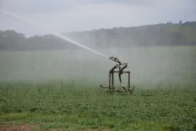 Irrigation d'un champ par aspersion