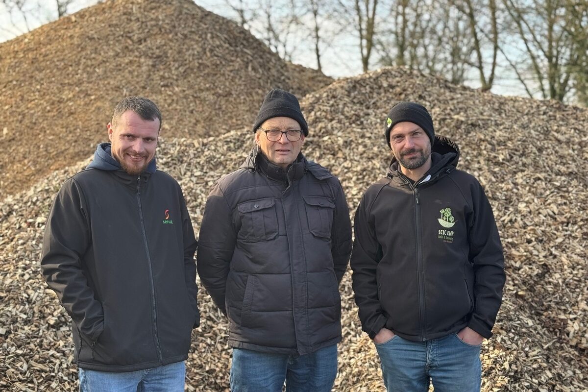Trois hommes devant un tas de bois déchiqueté.  - Illustration Peu de travail pour  des haies de valeur