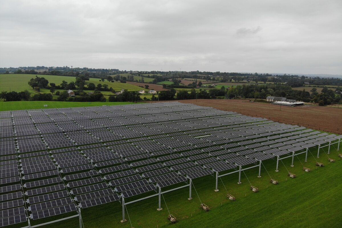 La vue aérienne d'une canopée photovoltaïque - Illustration Retour au pâturage sous la canopée photovoltaïque