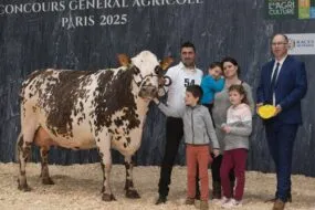 Une vache Normande sur le podium du concours de Paris accompagnée de deux hommes, une femme et trois enfants