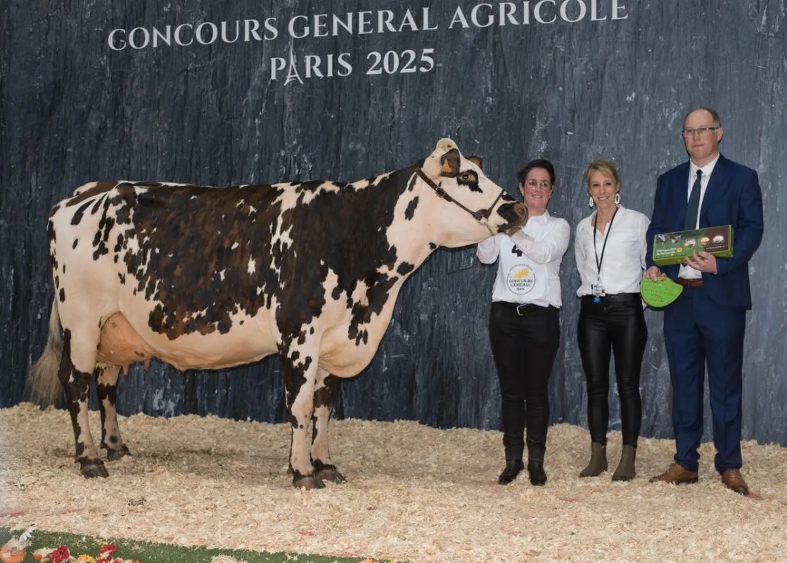 « Du style, de bons membres, beaucoup de qualité de bassin et de profondeur de côte et surtout une mamelle large et équilibrée. » Le juge Emmanuel Mouchel a récompensé Personne (Laudanum x Vitriol), au Gaec MPJ Horvais à Combourg (35), des prix de section des 3e lactation et de Meilleure mamelle Adulte au concours de la Normande de Paris 2025.