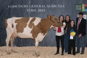 Une vache Pie Rouge, deux femmes, une enfant et un homme sur le podium d'un concours à Paris