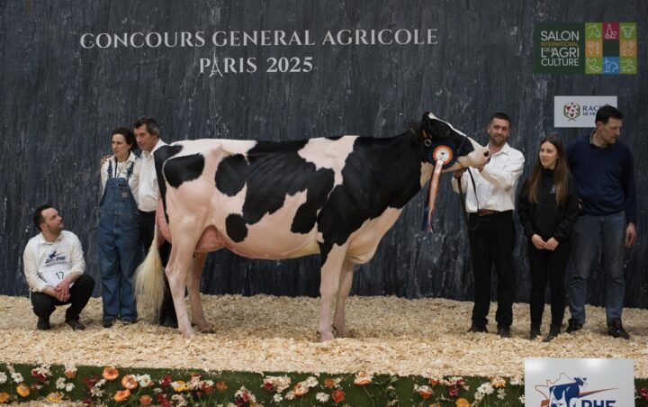 Une vache Prim'Holstein sur le podium du concours de Paris 2025 entourée par deux femmes et quatre hommes