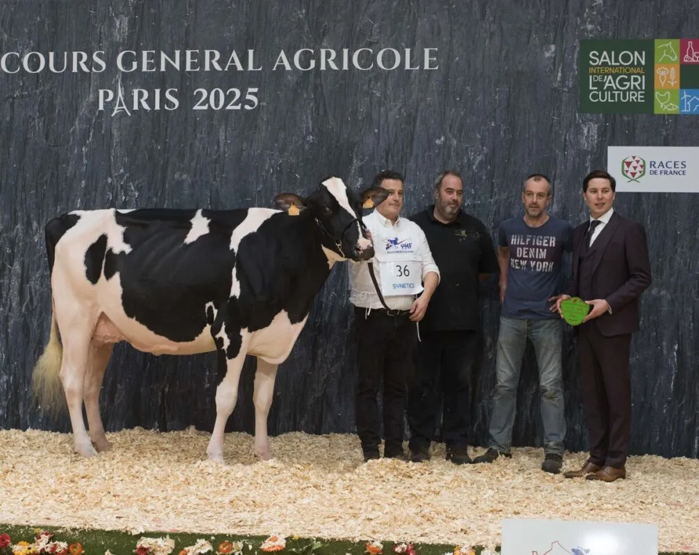 JBToullec Chief Rora (Chief Stan x Crushabull), au Gaec Toullec à Plomelin (29), rapporte le prix de section 2A des 2e lactation.