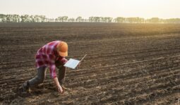 un homme baissé dans un champ labouré avec un ordinateur à la main