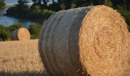 un round de paille dans un champ