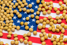 grains de soja sur un drapeaux des Etats-Unis