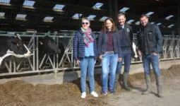 Marie-Claire et Jean-Jacques Picart, Pascale et Franck Chombart devant des vaches