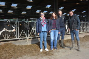 Marie-Claire et Jean-Jacques Picart, Pascale et Franck Chombart devant des vaches