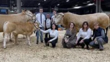 La famille avec la vache suitée et le taureau sur le ring
