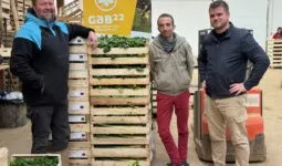 TRois hommes dans le bâtiments de conditionnement d'une ferme maraichère