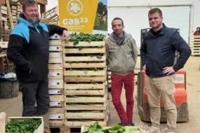 TRois hommes dans le bâtiments de conditionnement d'une ferme maraichère