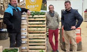 TRois hommes dans le bâtiments de conditionnement d'une ferme maraichère