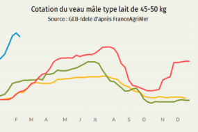Courbe des prix des VEAUx en France