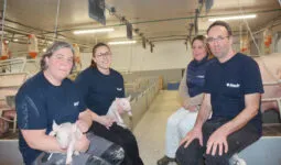 Des éleveurs et des salariés dans une porcherie avec des porcelets dans les bras