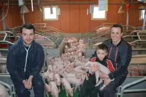 Un couple et leur fils dans une case maternité au milieu des truies et des porcelets
