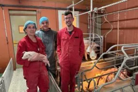 Une femme tenant un porcelet dans ses bras et deux hommes dans une salle de maternité d'un élevage porcin