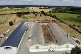 Vue aérienne de poulaillers