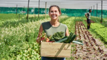 Une femme avec le sourire qui ramasse des légumes dans un champ
