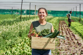 Une femme avec le sourire qui ramasse des légumes dans un champ