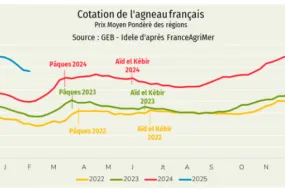 Graphique de comparaison de la cotation de l'agneau français de 2022 à 2025