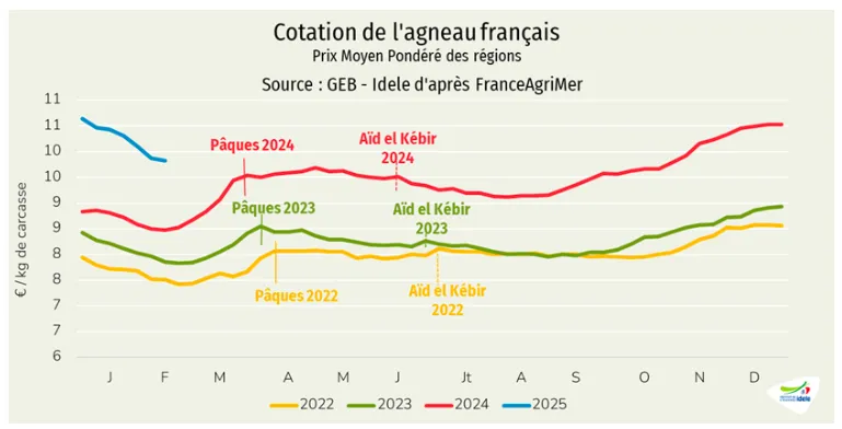 Graphique de comparaison de la cotation de l'agneau français de 2022 à 2025 - Illustration Les cours chutent face à la sortie saisonnière des agneaux