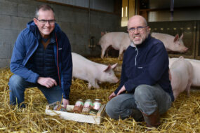 2 hommes présentant des bocaux de plats cuisinés avec des porcs élevés sur paille derrière eux