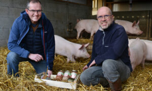2 hommes présentant des bocaux de plats cuisinés avec des porcs élevés sur paille derrière eux