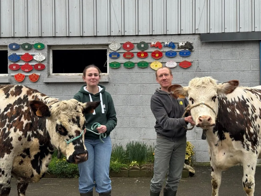 Passionnée d’élevage, Émilie Lemoine passe du temps autour des vaches sur la ferme de son oncle Olivier à Saint-Ouen-la-Rouërie (commune nouvelle de Val-Couesnon) en Ille-et-Vilaine.
