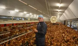 Samuel Tallec dans son poulailler au milieu des poules