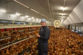 Samuel Tallec dans son poulailler au milieu des poules