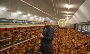 Samuel Tallec dans son poulailler au milieu des poules
