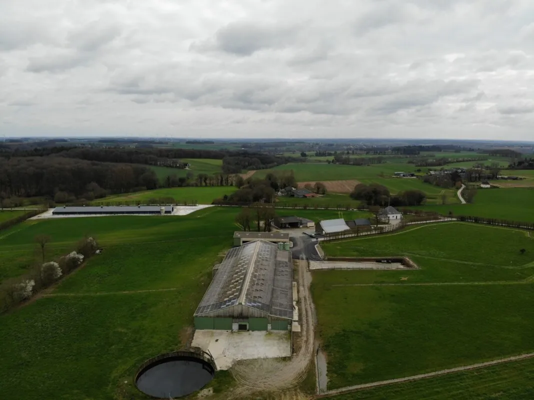 Au premier plan, l'ancienne stabulation qui est maintenant un bâtiment de pondeuses et en arrière-plan le poulailler en dinde de chair.