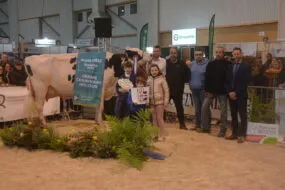 Des personnes avec une vache Prim'Holstein