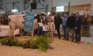 Des personnes avec une vache Prim'Holstein