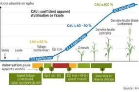Graphique de l'azote absorbée en fonction des différents stades de développement d'une plante