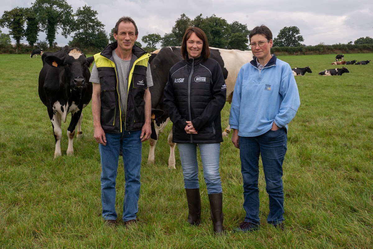 3 personnes avec des vaches dans un champ - Illustration Des taux stables  même à la mise à l’herbe