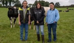 3 personnes avec des vaches dans un champ