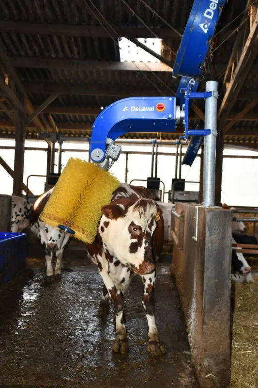 Deux brosses rotatives contribuent au bien-être des animaux.