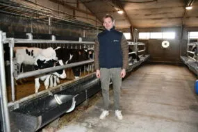L'éleveur à côté des veaux de boucherie