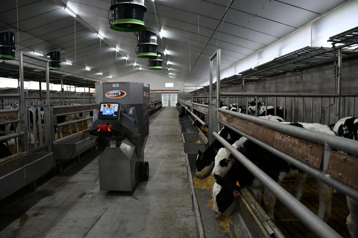 Le distributeur d'aliment fibreux dans le nouveau bâtiment.