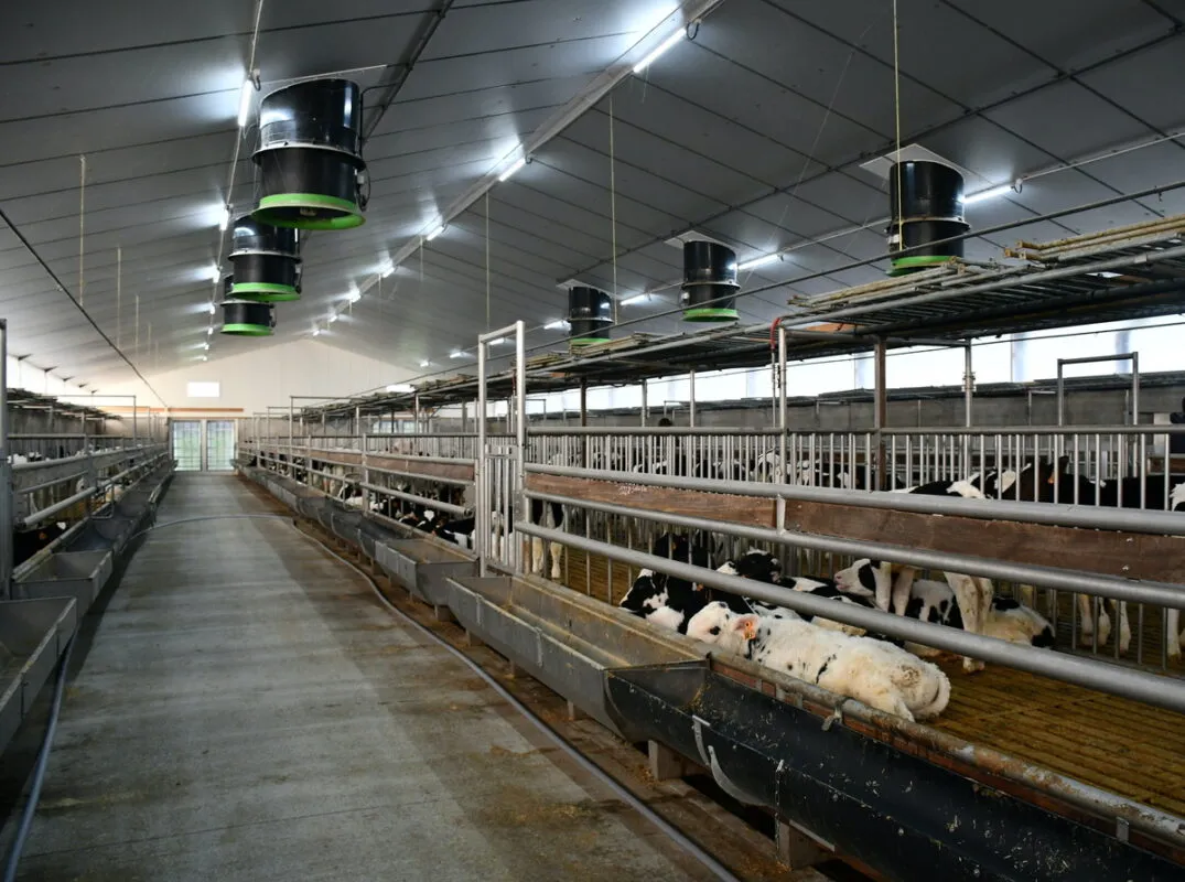 Le nouveau bâtiment compte 4 rangées de parcs et 2 couloirs.