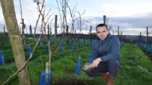 Le vigneron Julien Lefèvre au cœur de son vignoble, à Merléac, dans les Côtes-d'Armor.